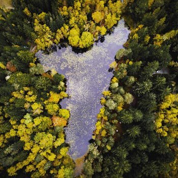 Stunning aerial shot of a vibrant autumn forest surrounding a calm lake in Scotland.